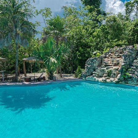 Jolie Jungle Eco Hotel (Adults Only) Leona Vicario Eksteriør billede