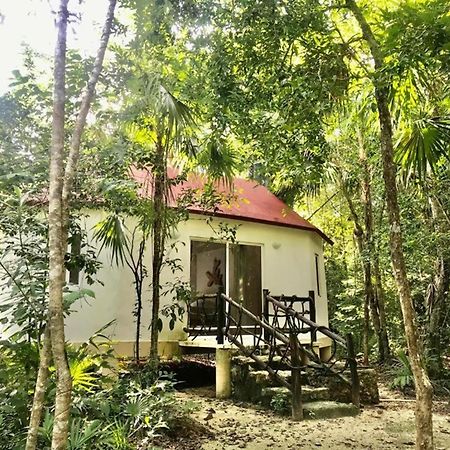 Jolie Jungle Eco Hotel (Adults Only) Leona Vicario Eksteriør billede