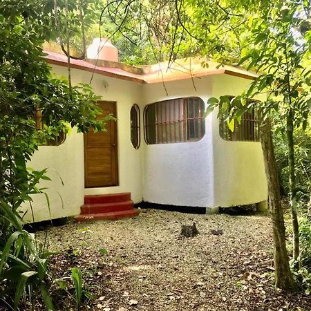 Jolie Jungle Eco Hotel (Adults Only) Leona Vicario Eksteriør billede