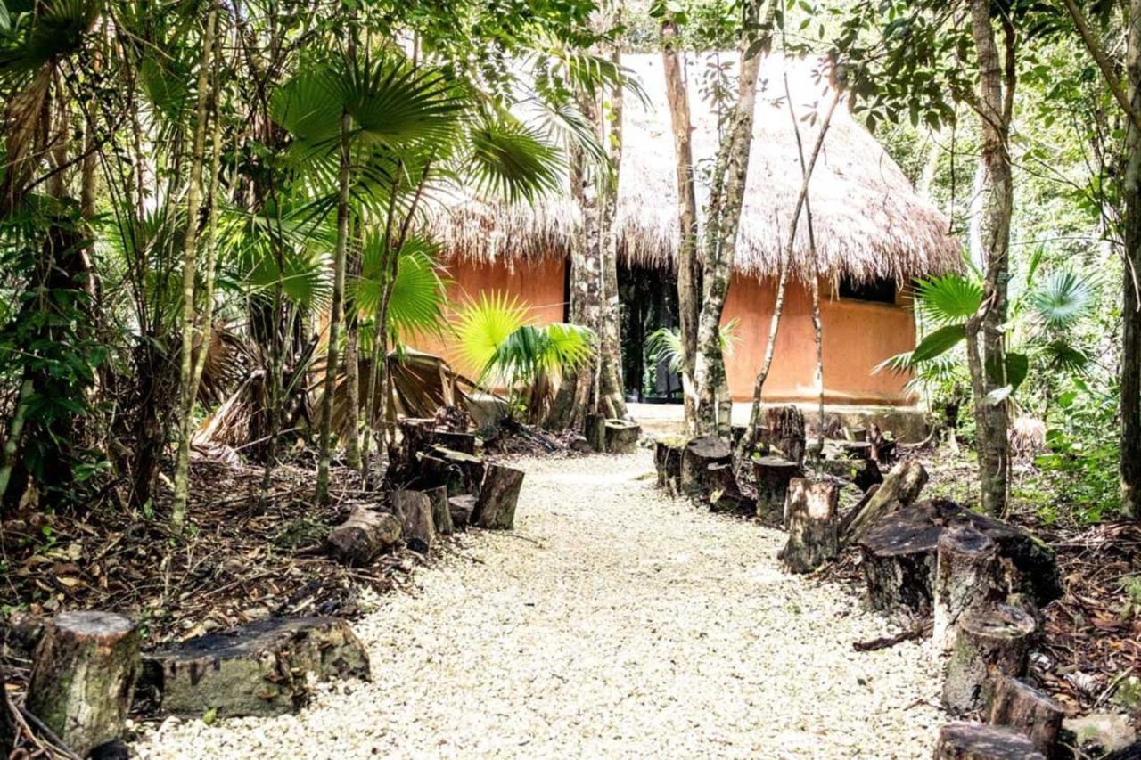 Jolie Jungle Eco Hotel (Adults Only) Leona Vicario Eksteriør billede