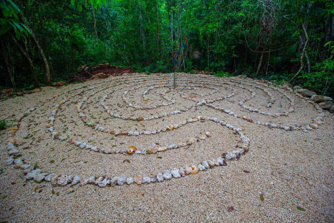 Jolie Jungle Eco Hotel (Adults Only) Leona Vicario Eksteriør billede