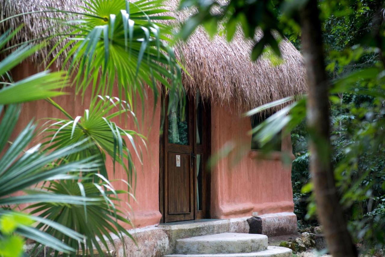 Jolie Jungle Eco Hotel (Adults Only) Leona Vicario Eksteriør billede