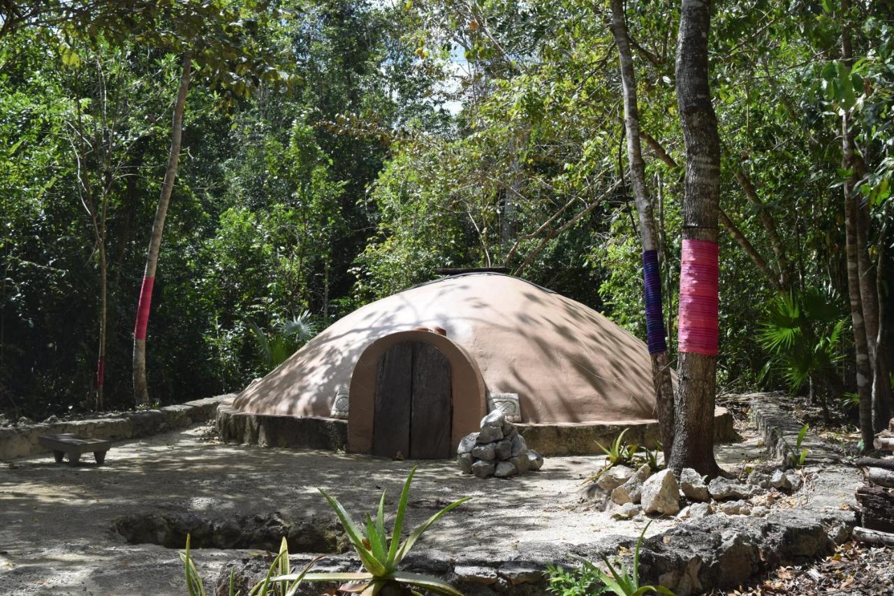 Jolie Jungle Eco Hotel (Adults Only) Leona Vicario Eksteriør billede