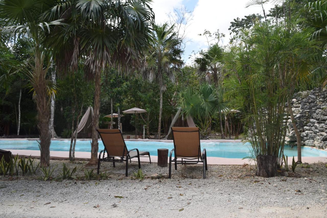 Jolie Jungle Eco Hotel (Adults Only) Leona Vicario Eksteriør billede