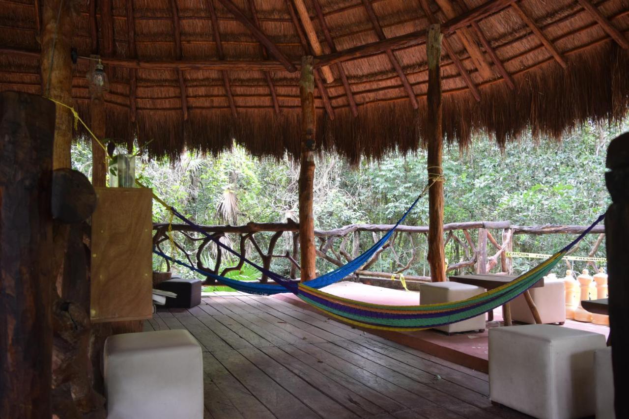 Jolie Jungle Eco Hotel (Adults Only) Leona Vicario Eksteriør billede