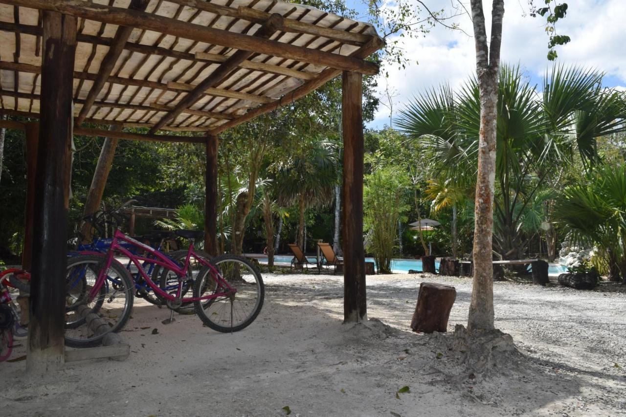 Jolie Jungle Eco Hotel (Adults Only) Leona Vicario Eksteriør billede