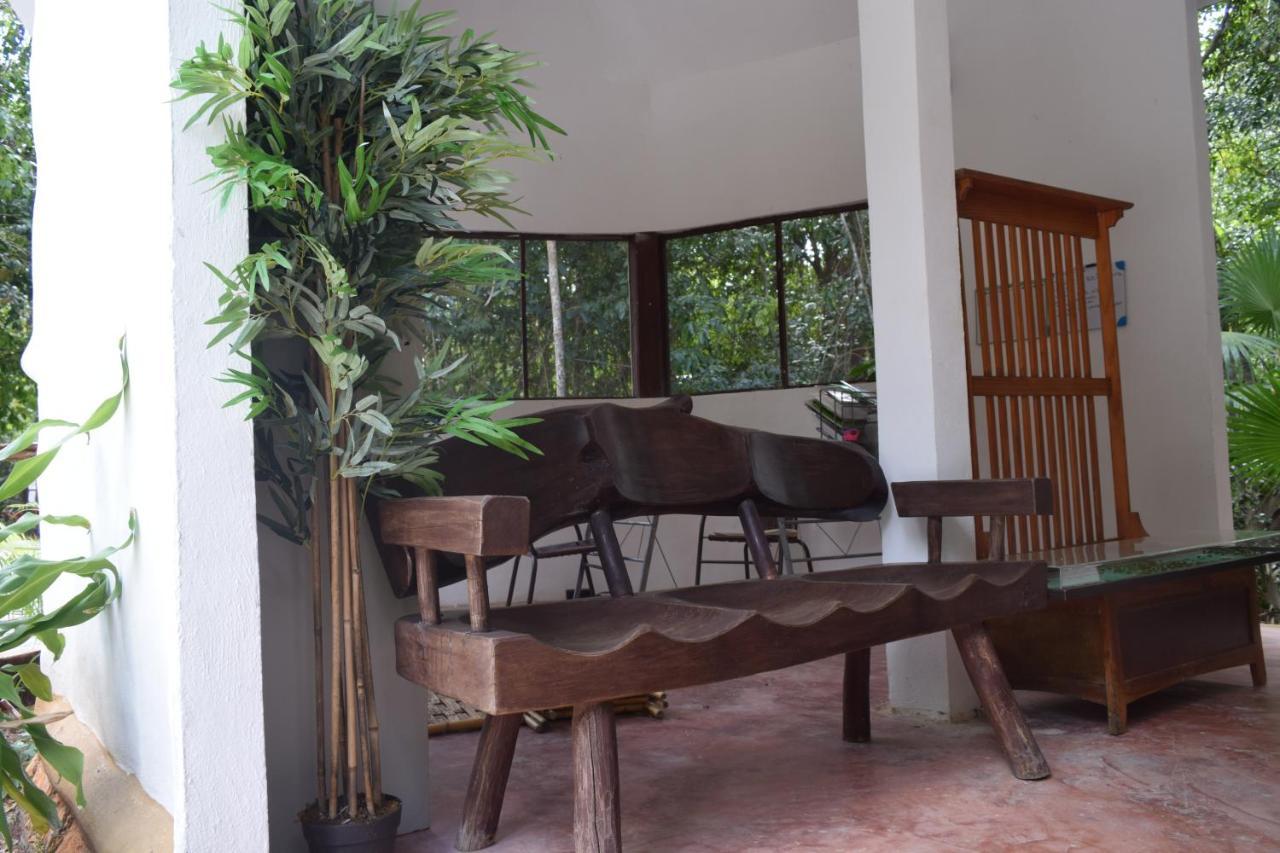 Jolie Jungle Eco Hotel (Adults Only) Leona Vicario Eksteriør billede