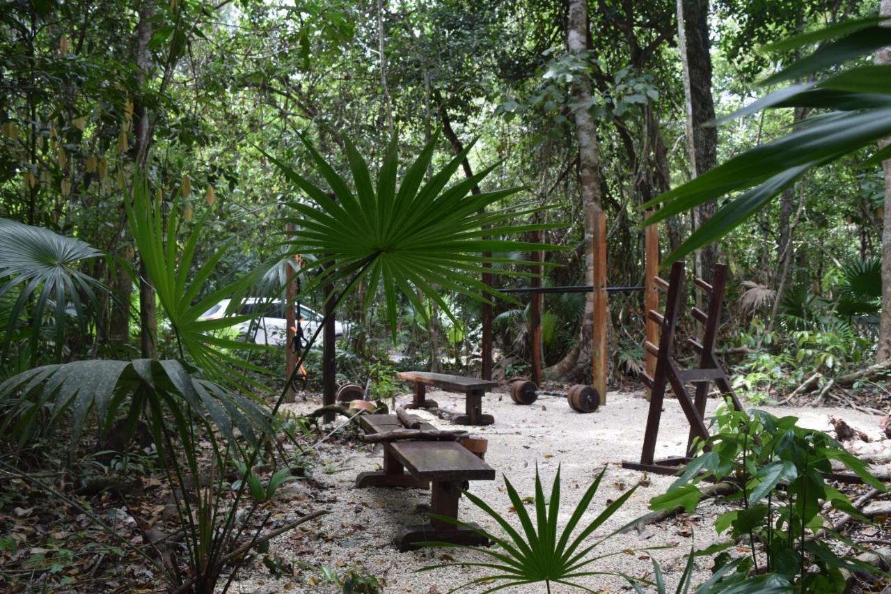 Jolie Jungle Eco Hotel (Adults Only) Leona Vicario Eksteriør billede