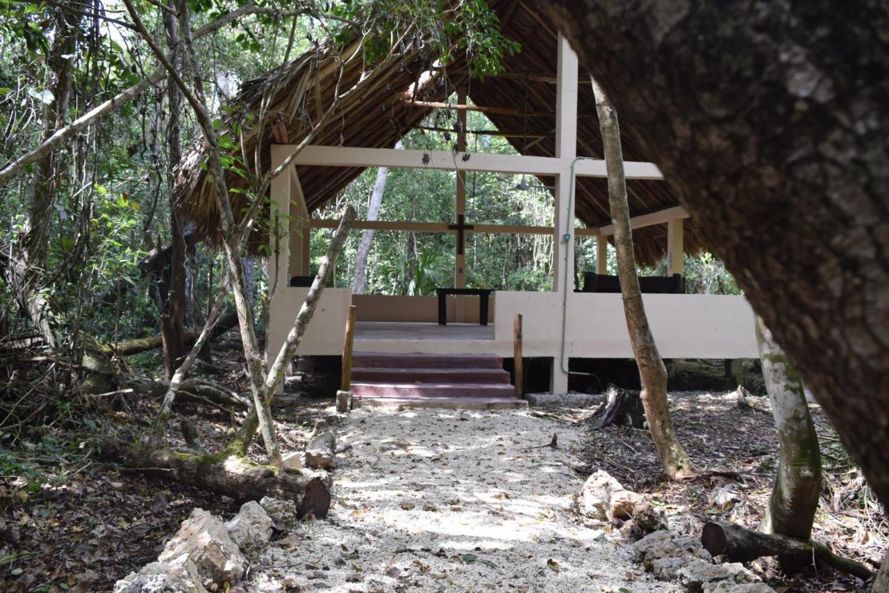 Jolie Jungle Eco Hotel (Adults Only) Leona Vicario Eksteriør billede
