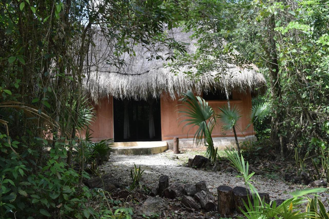 Jolie Jungle Eco Hotel (Adults Only) Leona Vicario Eksteriør billede
