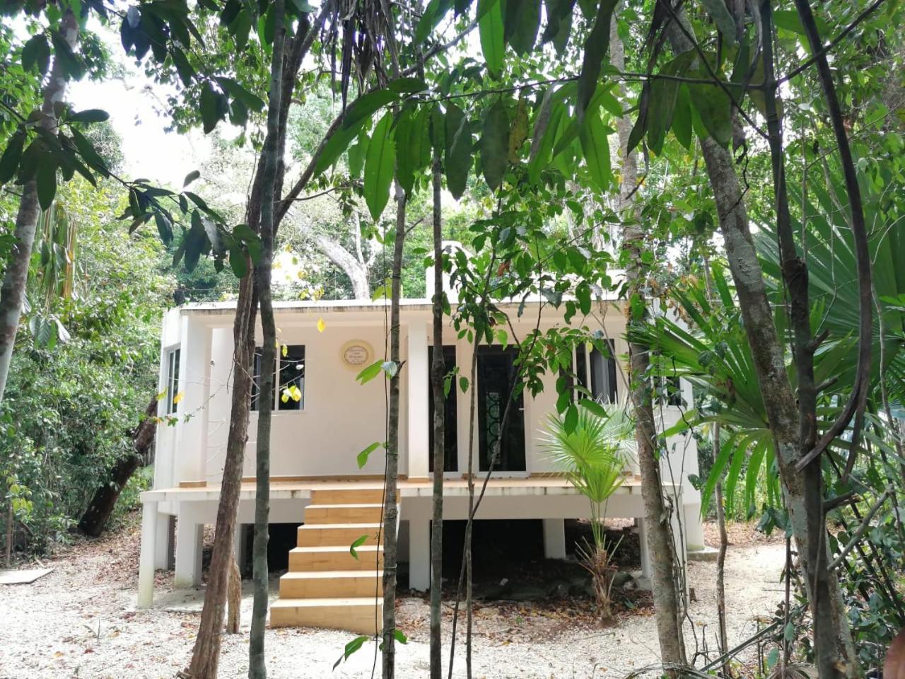 Jolie Jungle Eco Hotel (Adults Only) Leona Vicario Eksteriør billede