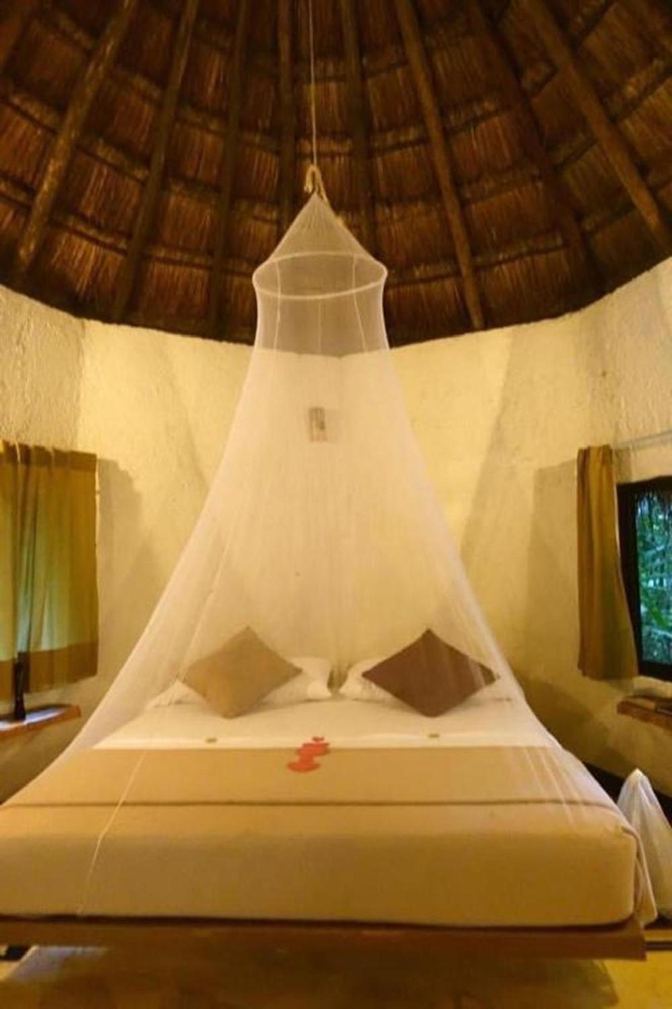 Jolie Jungle Eco Hotel (Adults Only) Leona Vicario Eksteriør billede
