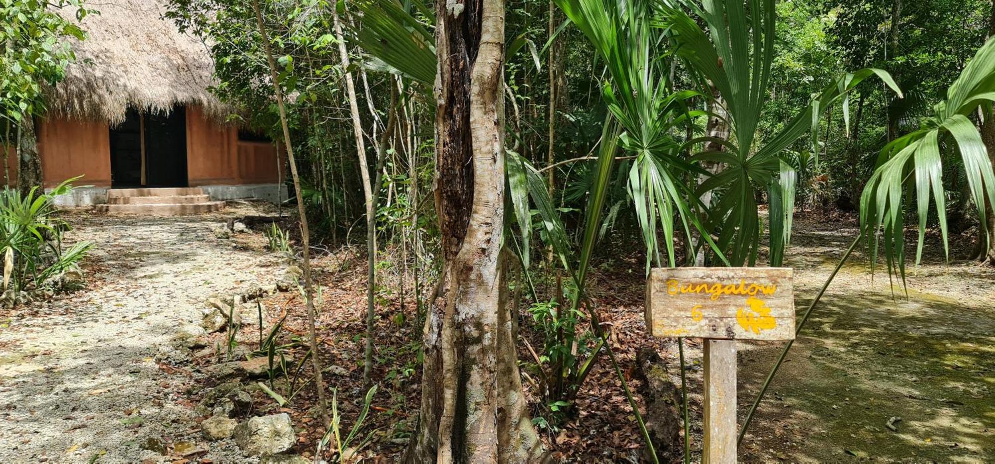 Jolie Jungle Eco Hotel (Adults Only) Leona Vicario Eksteriør billede
