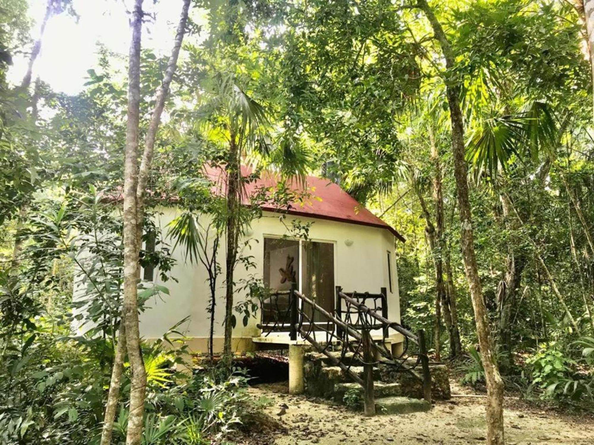 Jolie Jungle Eco Hotel (Adults Only) Leona Vicario Eksteriør billede
