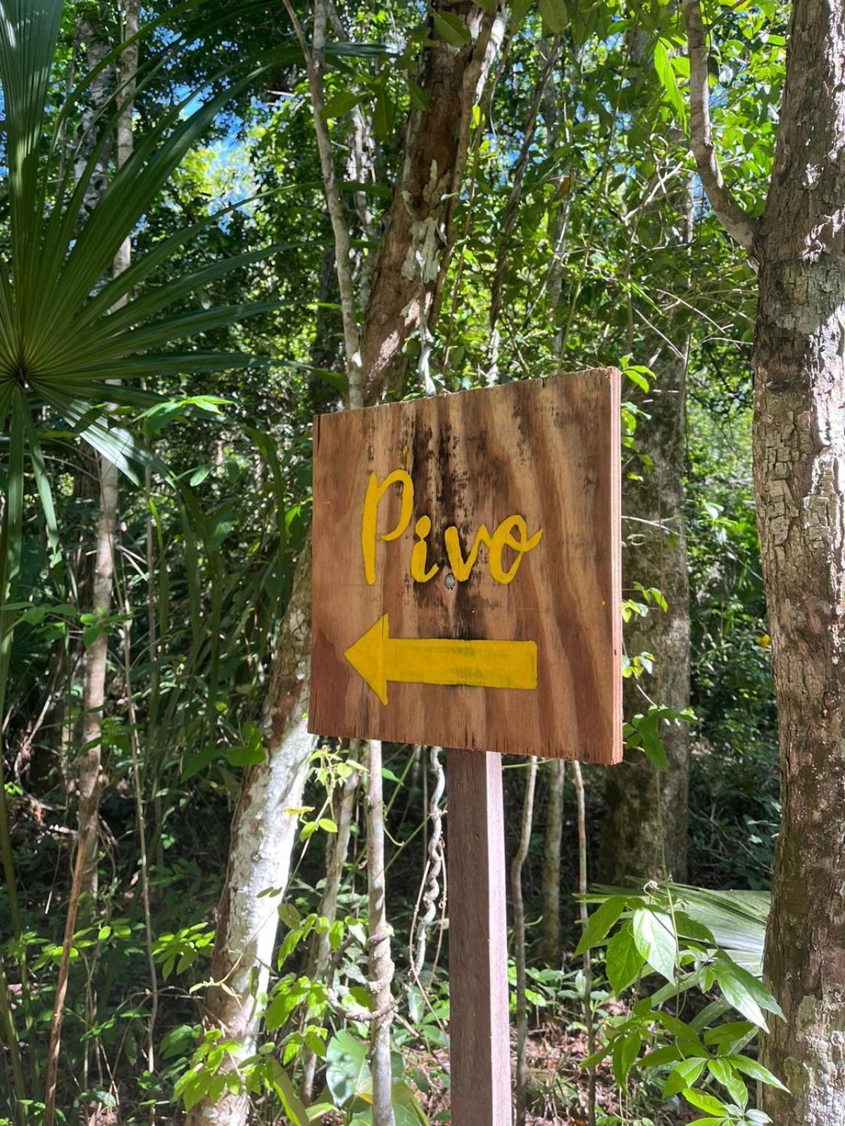 Jolie Jungle Eco Hotel (Adults Only) Leona Vicario Værelse billede