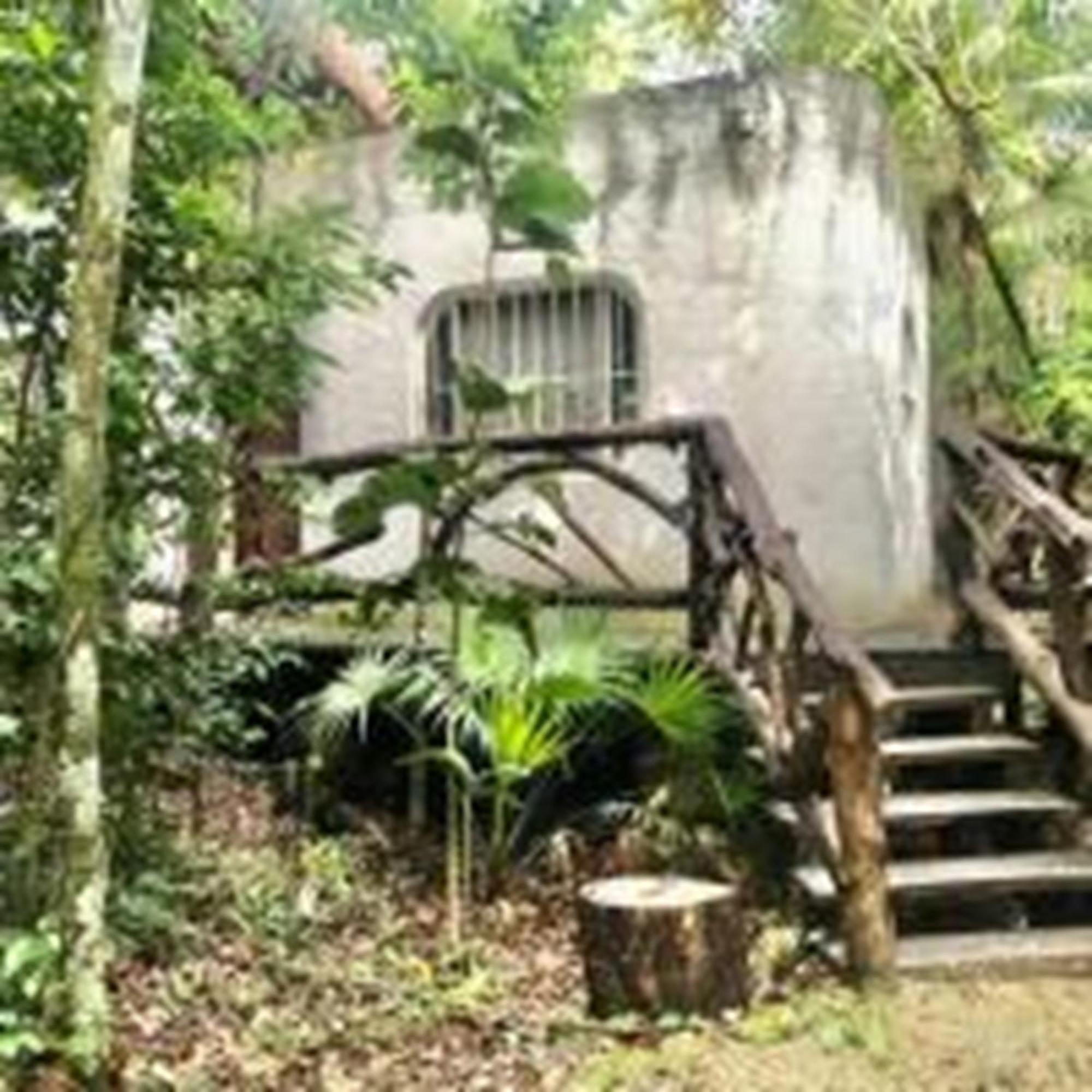 Jolie Jungle Eco Hotel (Adults Only) Leona Vicario Eksteriør billede