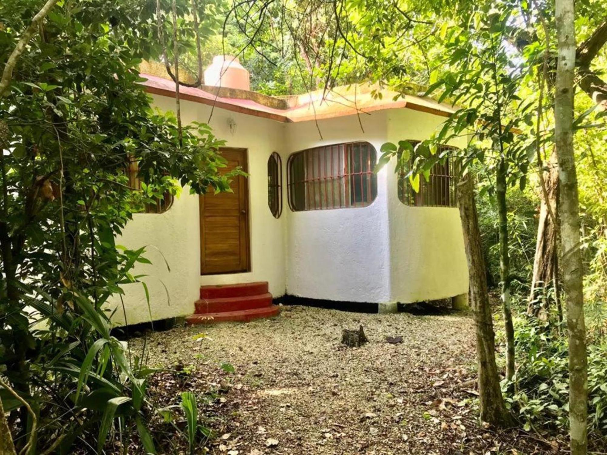 Jolie Jungle Eco Hotel (Adults Only) Leona Vicario Eksteriør billede