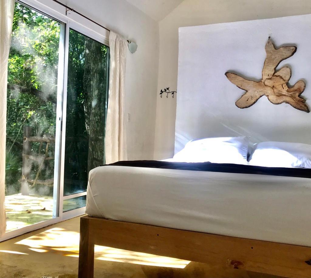 Jolie Jungle Eco Hotel (Adults Only) Leona Vicario Eksteriør billede