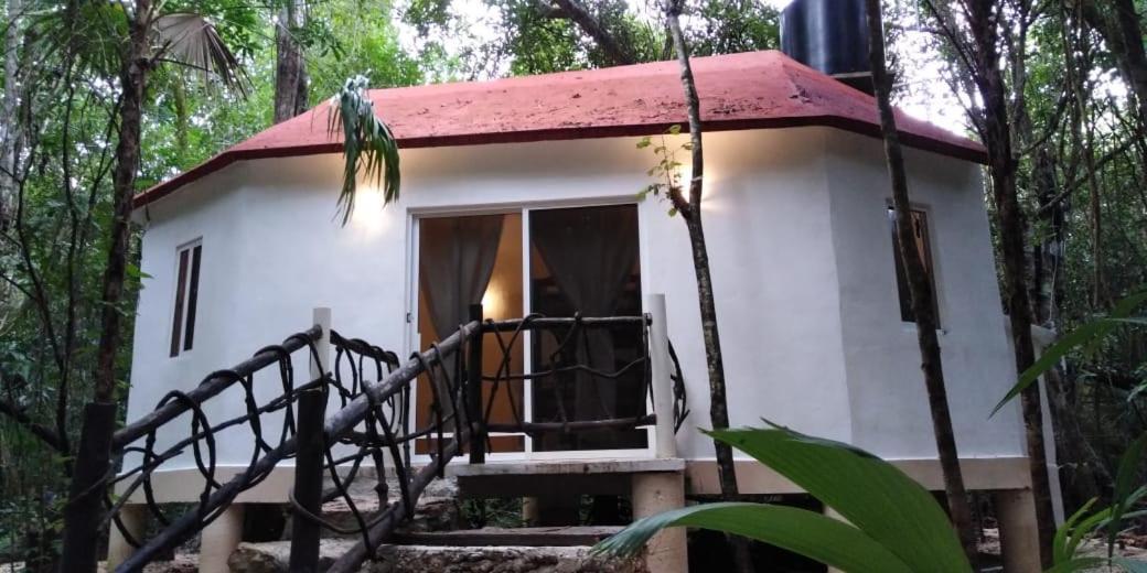 Jolie Jungle Eco Hotel (Adults Only) Leona Vicario Eksteriør billede